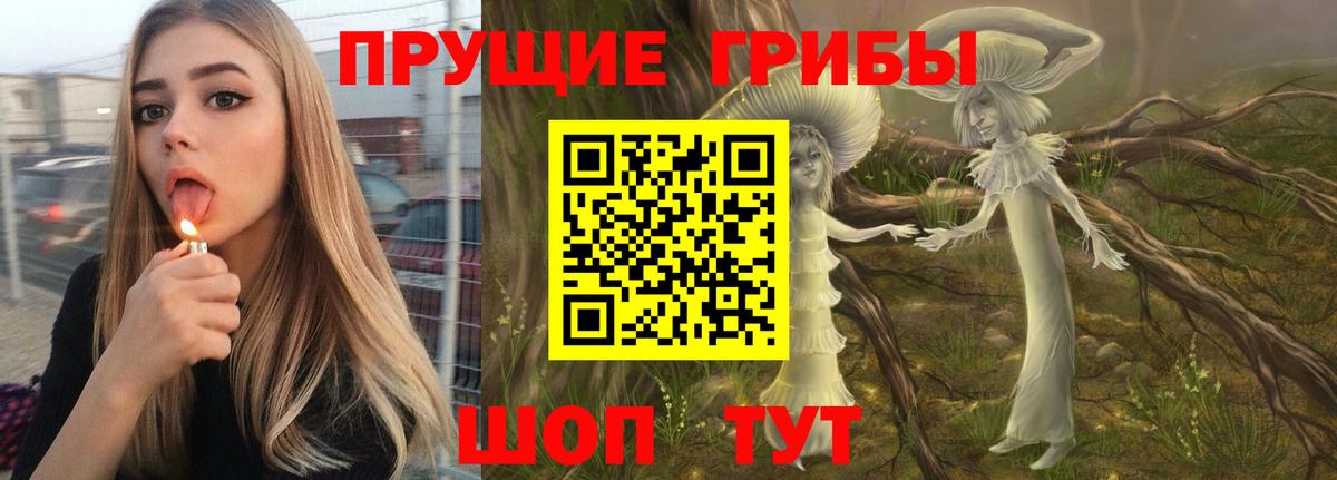 Галлюциногенные грибы Cubensis Курчатов