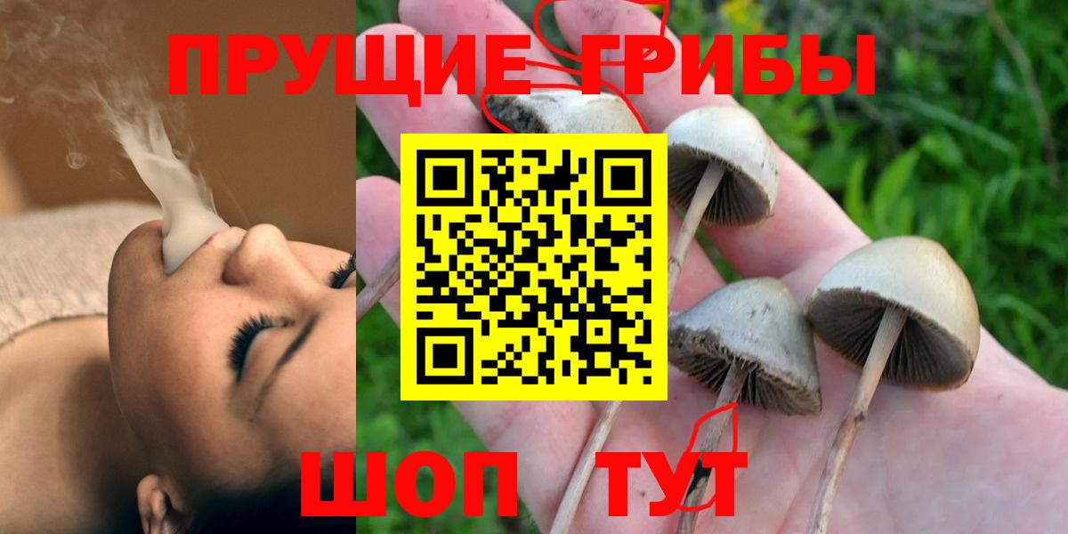 Галлюциногенные грибы GOLDEN TEACHER  Вход с VPN  что такое наркотик  Курчатов 